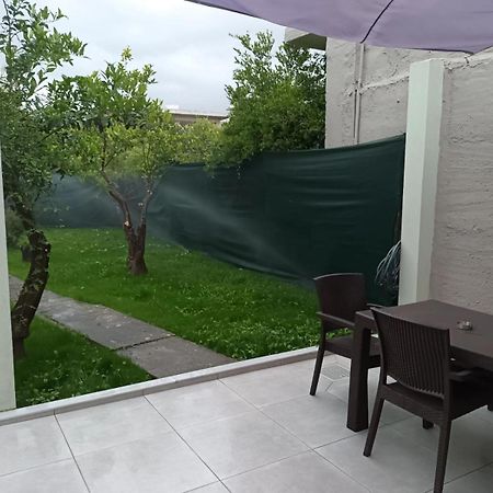 Olgas Cozy Home خانيا المظهر الخارجي الصورة