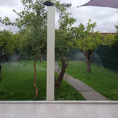 Olgas Cozy Home خانيا المظهر الخارجي الصورة