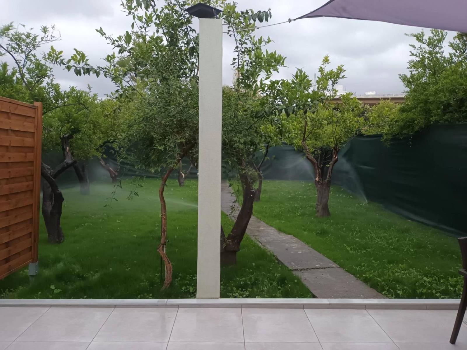 Olgas Cozy Home خانيا المظهر الخارجي الصورة
